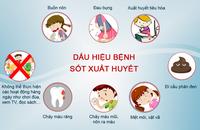 cach-phong-tranh-benh-sot-xuat-huyet-hieu-qua