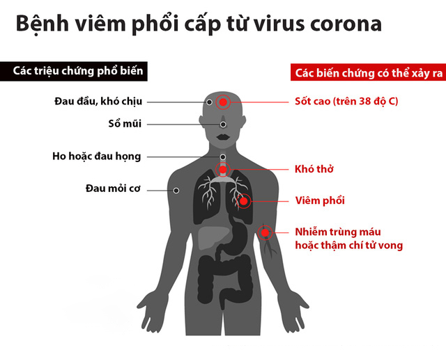 virus corona